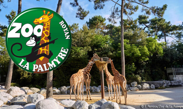 ZOO de LA PALMYRE, un lieu préservé pour s’émerveiller