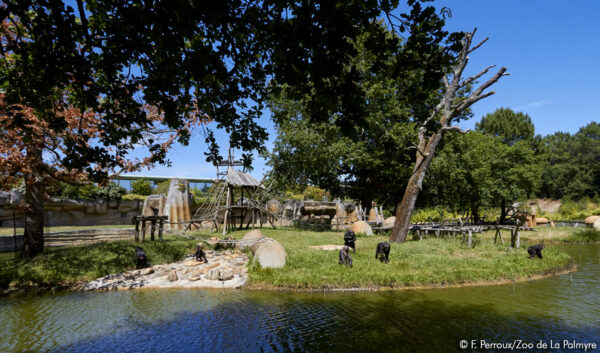 zoo de la palmyre 2024 billetterie apace loisirs