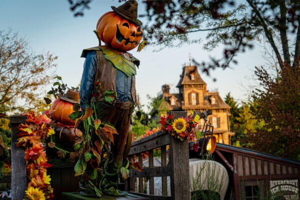 Parc DISNEYLAND PARIS adulte ou enfant - Billet Eco 1 jour 2 parcs - E-billet - visite jusqu'au 17/09/2026 – Image 2