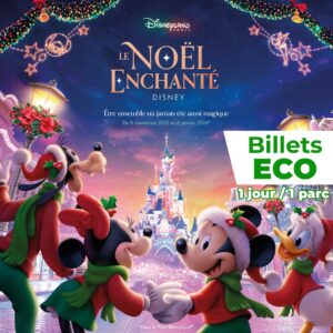 Disneyland Paris Noël enchanté billet Eco Apace Loisirs