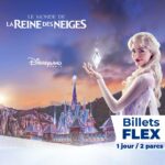 Disneyland Paris Billetterie FLEX Apace loisirs 2026