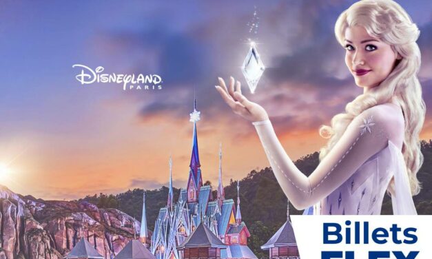 Parc DISNEYLAND PARIS adulte ou enfant – Billet Flex 1 jour 2 parcs- E-billet – visite jusqu&rsquo;au 17/09/2026