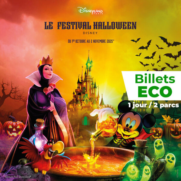 Parc DISNEYLAND PARIS adulte ou enfant - Billet Eco 1 jour 2 parcs - E-billet - visite jusqu'au 17/09/2026