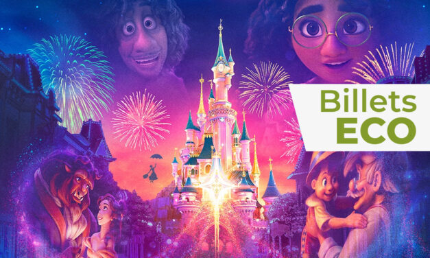 Parc DISNEYLAND PARIS adulte ou enfant – Billet Eco 1 jour 1 Parc – E-billet – visite jusqu’au 20/01/2026