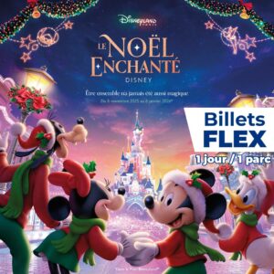 Disneyland Paris Noël enchanté billet flex Apace Loisirs