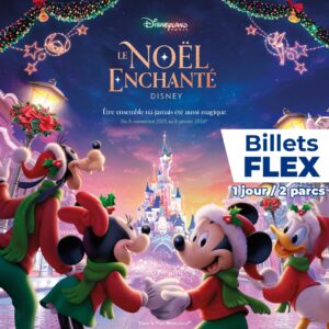 Disneyland Paris Noël enchanté billet flex Apace Loisirs