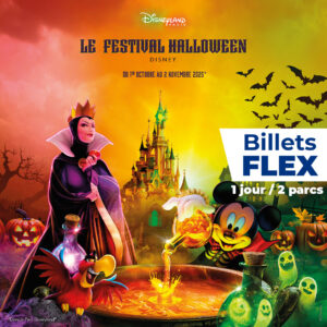 Parc DISNEYLAND PARIS adulte ou enfant - Billet Flex 1 jour 2 parcs- E-billet - visite jusqu'au 17/09/2026