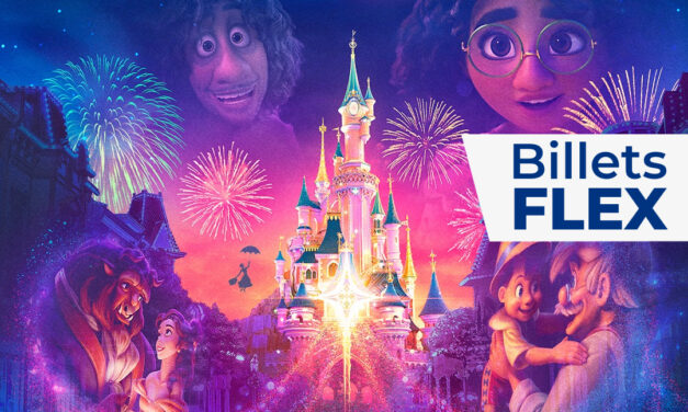 Parc DISNEYLAND PARIS  adulte ou enfant  – Billet Flex 1 jour 1 parc – E-billet – visite jusqu’au 18/12/2025