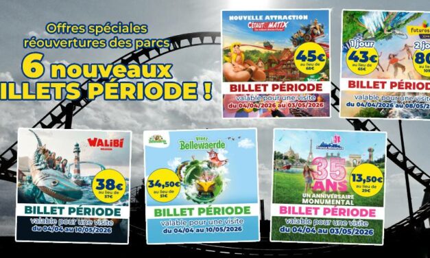 Parc Astérix, Futuroscope, Bellewaerde, Walibi et France Miniature à prix cadeau !
