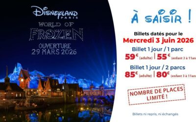 [EXCLU] Les billets datés DISNEYLAND PARIS à tarif cadeau pour le 03/06/2026 !