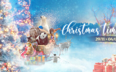 Pairi Daiza fête Christmas Time