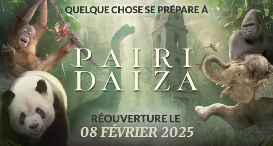 Nouvelle année, nouvelles découvertes à PAIRI DAIZA