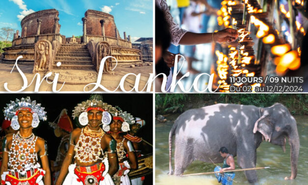 SRI LANKA – Une île paradisiaque à découvrir