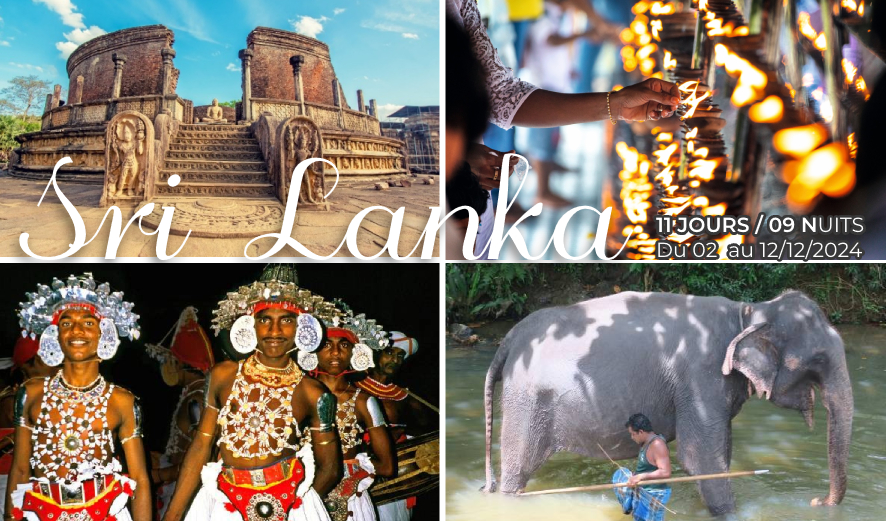 Sri lanka Apace loisirs voyage décembre 2024