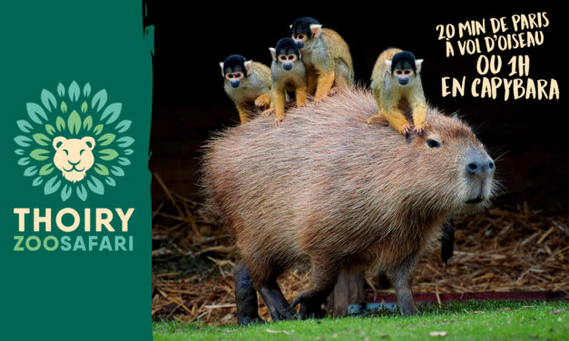 Thoiry, Zoosafari – Source naturelle d’aventures !