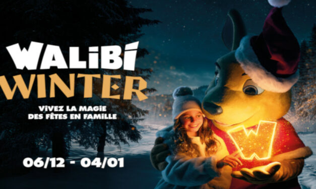 Parc WALIBI – E-billet – Noël 2025 31,50€ au lieu de 53€