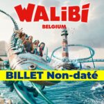 Walibi billet tarif reduit 2026 apace loisirs