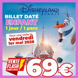 billet Enfant DISNEY 1er mai 1 jour 1 parc 69euros