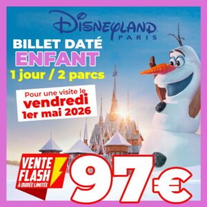 billet Enfant DISNEY 1er mai 1 jour 2 parcs 97euros