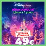 Billet période Disney 24 septembre 2025 apace loisirs 1 jour 1 parcs adulte