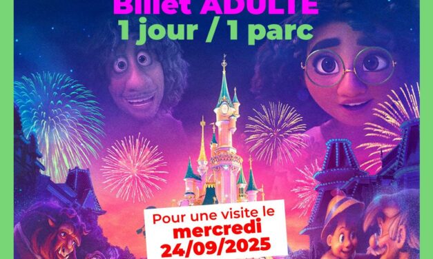 BILLET PÉRIODE Disneyland Paris Adulte 1 jour 1 parc pour le 24/09/2025 – Pas d’E-billet