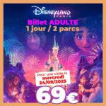 Billet période Disney 24 septembre 2025 apace loisirs 1 jour 2 parcs adulte