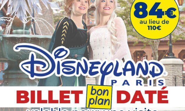 E-BILLET « BON PLAN » DATÉ Disneyland Paris 1 jour 2 parcs 2026 – Voir les dates et disponibilités ci-dessous et profitez de ce tarif pour la période d&rsquo;HALLOWEEN en octobre et novembre 2026