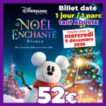billet daté DISNEY adulte 1 jour 1 parc 09122026