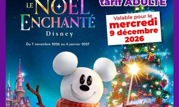 BILLET DATÉ Disneyland Paris Adulte 1 jour 2 parcs pour le 09/12/2026 – Pas d&rsquo;E-billet