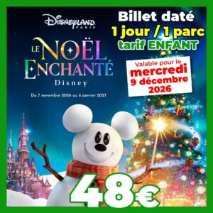 billet daté DISNEY enfant 1 jour 1 parc 09122026