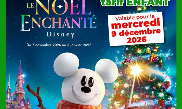 BILLET DATÉ Disneyland Paris Enfant 1 jour 1 parc pour le 09/12/2026 – Pas d&rsquo;E-billet