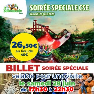 billet période pas cher bellewaerde apace loisirs