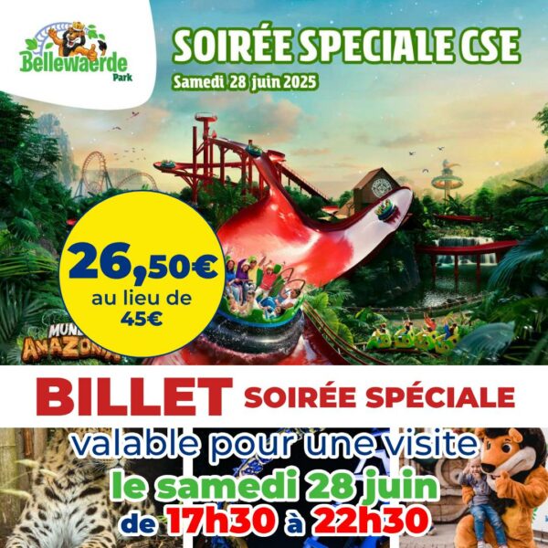 billet période pas cher bellewaerde apace loisirs