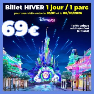 BILLET HIVER Disneyland Paris 1 jour 1 parc - Visite entre le 05/01 et le 08/03/2026 - Pas d'E-billet