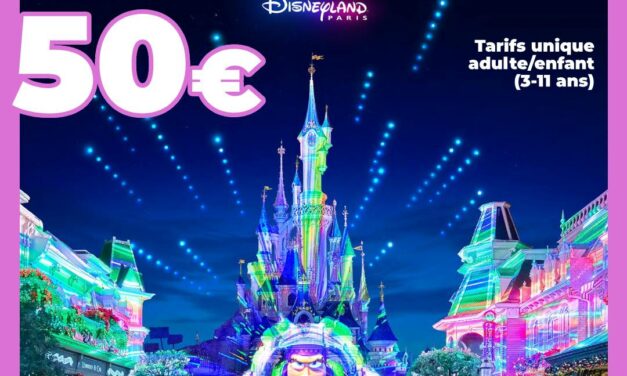 BILLET HIVER SEMAINE Disneyland Paris 1 jour 1 parc – Visite entre le 05/01 et le 06/02/2026 – Pas d&rsquo;E-billet