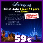 billet periode DISNEY Adulte 1 jour 1 parc 03062026