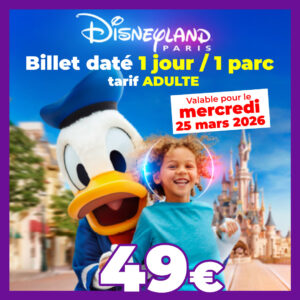 BILLET PÉRIODE Disneyland Paris Adulte 1 jour 1 parc pour le 25/03/2026 - Pas d'E-billet