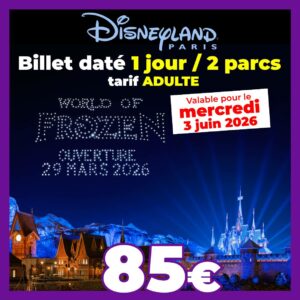 BILLET DATÉ Disneyland Paris Adulte 1 jour 2 parcs pour le 03/06/2026 - Pas d'E-billet