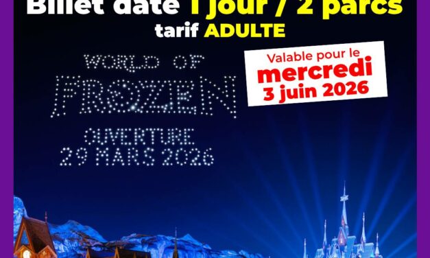 BILLET DATÉ Disneyland Paris Adulte 1 jour 2 parcs pour le 03/06/2026 – Pas d&rsquo;E-billet