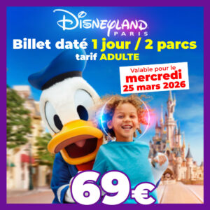 BILLET PÉRIODE Disneyland Paris Adulte 1 jour 2 parcs pour le 25/03/2026 - Pas d'E-billet