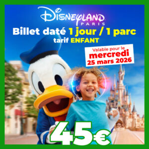 BILLET PÉRIODE Disneyland Paris Enfant 1 jour 1 parc pour le 25/03/2026 - Pas d'E-billet