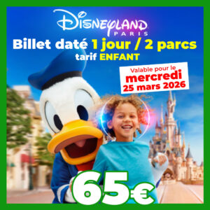 BILLET PÉRIODE Disneyland Paris Enfant 1 jour 2 parcs pour le 25/03/2026 - Pas d'E-billet