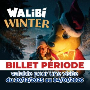 billet periode walibi Noel apace loisirs 2026