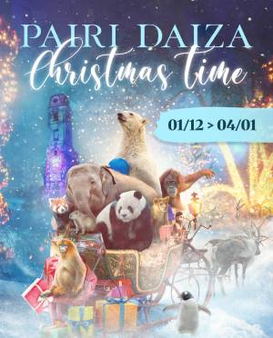 christmas time noël à Pairi Daiza billet tarif réduit apace loisirs