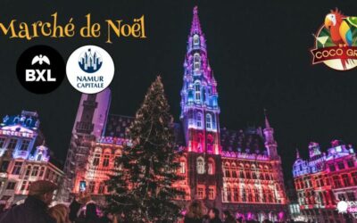 NOËL MAGIQUE à Namur et Bruxelles avec dîner spectacle – 28&29/11/2026