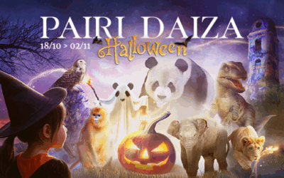 Pairi Daiza le plus magique et le plus familial des Halloween !