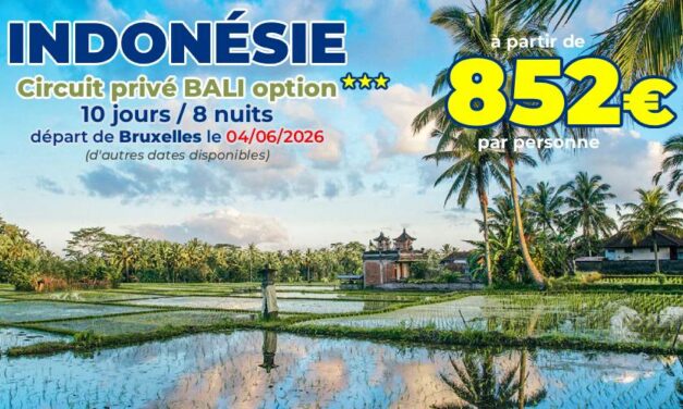 INDONÉSIE Circuit privé Bali option 3 étoiles – départ le 04/06/2026