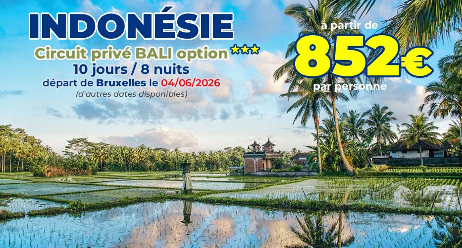 INDONÉSIE Circuit privé Bali option 3 étoiles – départ le 04/06/2026