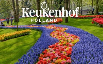 KEUKENHOF et son corso fleuri – 17/04/2027