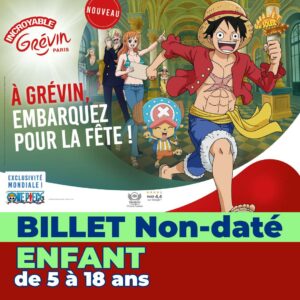 musée grévin one piece billet enfant tarif réduit apace loisirs 2026